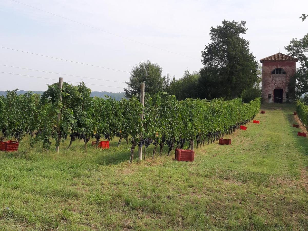 Marchesi Incisa Winery Lodge Rocchetta Tanaro Exterior foto